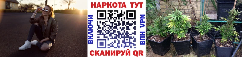 Сколько стоит Владимир Кокаин Канабис Меф ГАШ