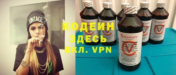 таблы Гусев