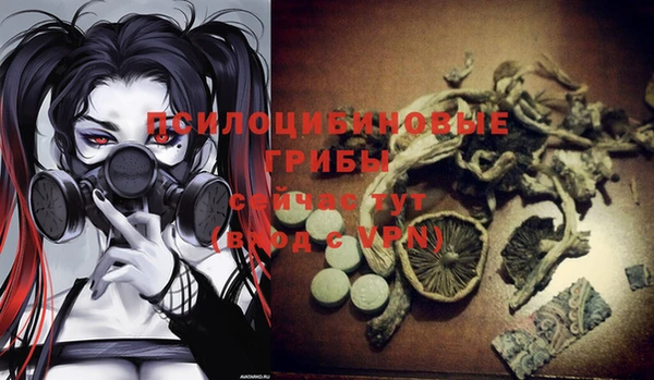 прущий лед Дмитровск