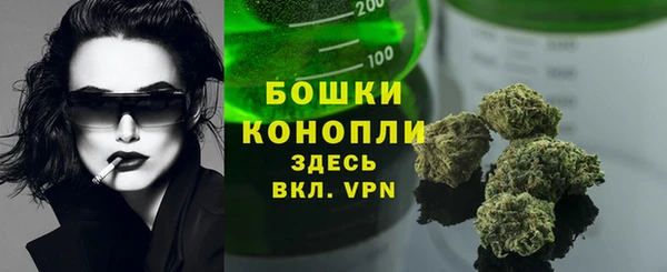 таблы Гусев