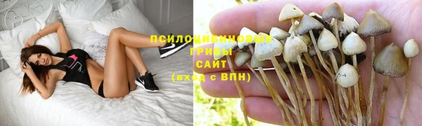 таблы Гусев