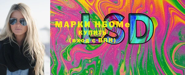 таблы Гусев