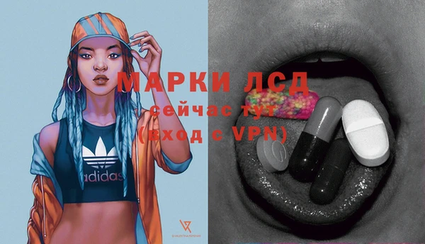 таблы Гусев