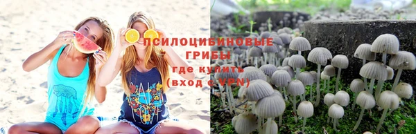 мет Гусиноозёрск