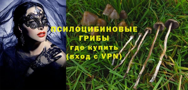 mdma Дмитриев