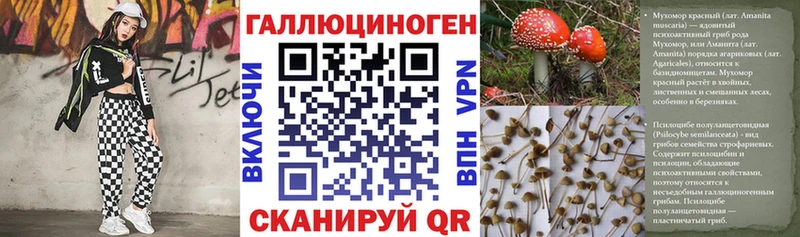 Галлюциногенные грибы MAGIC MUSHROOMS  как найти закладки  Владимир 